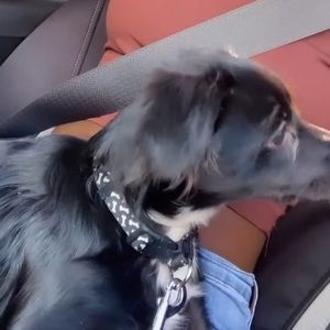 Meet your Posher, Dasaja